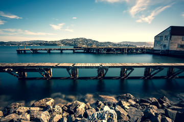 Landscape of Wellington, New Zealand © YiuCheung