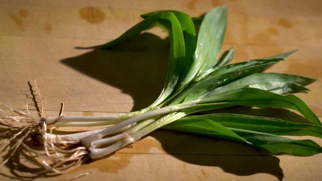 Slider to the right of a single ramp plant on a wooden cutting board.