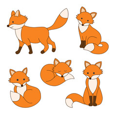 Set of cute foxes.
