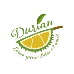 King of fruits, durian Vector illustration