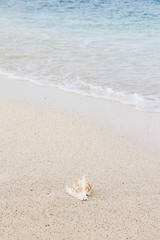 Summer concept of sandy beach. Summer vacation concept