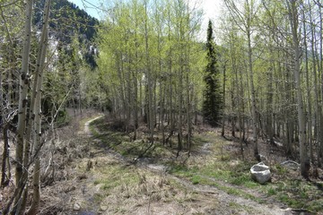 Panoramic Views of Wasatch Front Rocky Mountains from Little Cottonwood Canyon in early spring with...