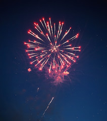Stars of the fireworks are on a dark blue background - obrazy, fototapety, plakaty