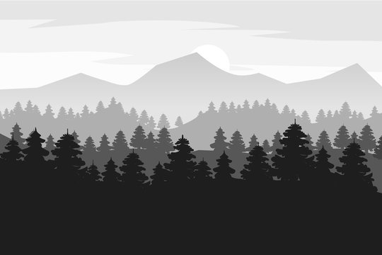 Pine forest and mountains vector backgrounds. Panorama landscape spruce silhouette illustration, vector, isolated