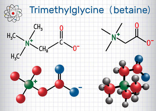 Trimethylglycine (TMG, betaine, glycine betaine), is found in sugar beets.  Structural chemical formula and molecule model. Sheet of paper in a cage