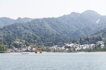 宮島の桜
