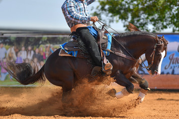 The side view of a rider in jeans, cowboy chaps and checkered shirt on a reining horse slides to a stop in the red clay an arena.