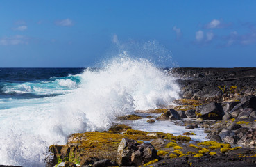 Wave