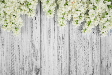 green on a wooden background