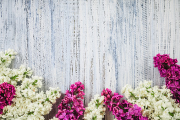 green on a wooden background