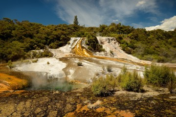 Landscape New Zealand - Lake Rotorua geysers