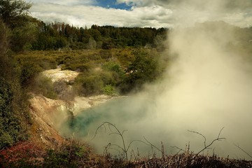 Landscape New Zealand - Lake Rotorua geysers