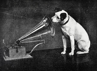 Hund lauscht in Grammophon Trichter