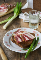 Piece of rye bread with salted lard on a plate