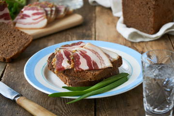 Piece of rye bread with salted lard on a plate