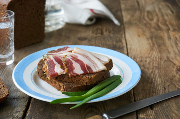 Piece of rye bread with salted lard on a plate