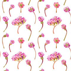spring flowers
