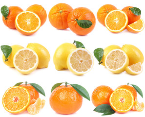 Fototapeta na wymiar Citrus fruit