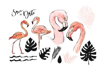 Hand drawn vector abstract graphic freehand textured sketch pink flamingo and tropical palm leaves drawing illustration collection set with modern decoration elements isolated on white background