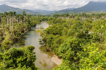 Fototapeta na wymiar view on national park alejandro de humboldt with river Cuba