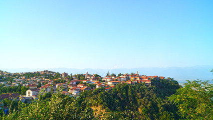 signaghi