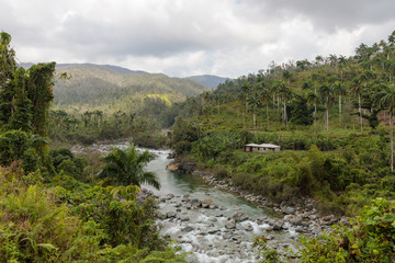 Naklejka na ściany i meble view on national park alejandro de humboldt with river Cuba