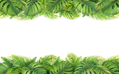 Obraz premium Horizontal tropical border with leaves of monstera, fern and palm tree. Design element for card, advertisement of vacation or invitation.