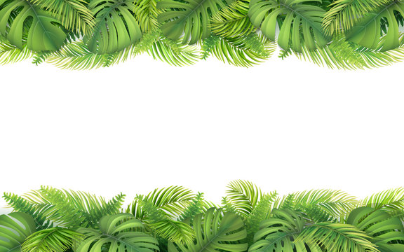 Horizontal tropical border with leaves of monstera, fern and palm tree. Design element for card, advertisement of vacation or invitation.