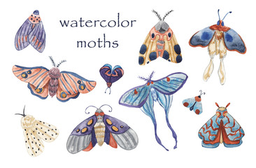 Set of watercolor moths on white isolated background