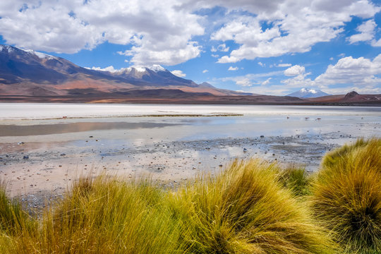 Laguna Honda in sud Lipez Altiplano reserva, Bolivia