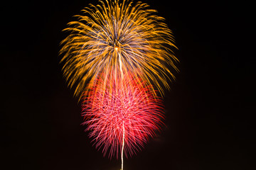 夏の打ち上げ花火