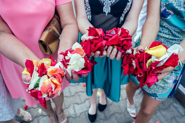 rose petals in the hands of bridesmaids