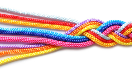 Braided colorful ropes on white background. Unity concept