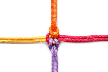 Colorful ropes tied together on white background. Unity concept