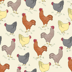 Seamless pattern with bird - rooster and chicken and grass on light yellow background vector illustration for wallpaper and food background. Cocks and hens pattern