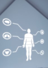 Human Body Chart education