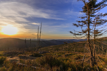 Hiking trail in the Silesian Beskids, Poland 