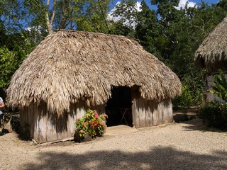 Fototapeta na wymiar Thatched-roofed hut in a village in Costa Maya, Mexico 