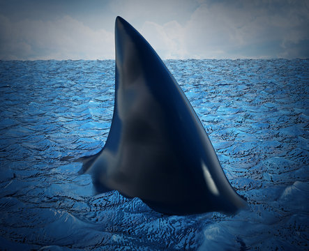 Shark fin on the water. 3D illustration