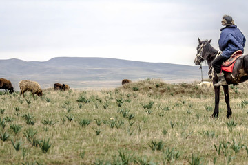 A shepherd on a horse grazing sheep on a pasture in the foothills of the Karatau