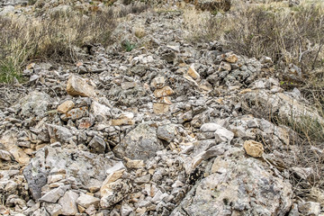 Rocky ground landscape