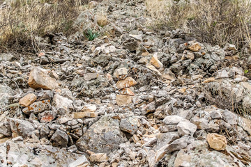 Rocky ground landscape