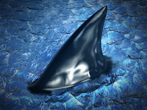 Shark fin on the water. 3D illustration