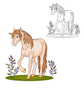 coloring page, beautiful cute unicorn on the grass