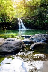 Tropical waterfall Lower Waikamoi Falls and a small crystal clear pond, inside of a dense tropical rainforest, off the Road to Hana Highway, Maui, Hawaii