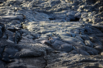 Fototapeta na wymiar Smooth, undulating surface of frozen pahoehoe lava. Frozen lava wrinkled in tapestry-like folds and rolls resembling twisted rope on Big Island of Hawaii.