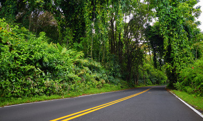 Fototapeta na wymiar Famous Road to Hana fraught with narrow one-lane bridges, hairpin turns and incredible island views, curvy coastal road with views of cliffs, waterfalls, and miles of rainforest. Maui, Hawaii
