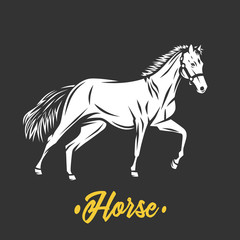 Horse. Black and white vector objects.