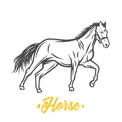 Obraz na płótnie Canvas Horse. Black and white vector objects.