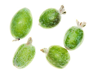 Green feijoa fruit isolated on white background